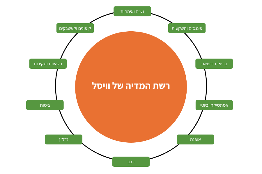 רשת המדיה של וויסל